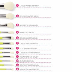 Bh Cosmetics Color Festival 12 Piece Makeup Brush Set – Bright Synthetic Brushes with Angled Brush Holder for Eyes & Face