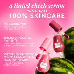Glow Recipe Watermelon Glow Niacinamide Dewy Flush Blush