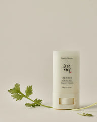 Beauty Of Joseon - Matte Sun Stick Mugwort + Camilia SPF 50