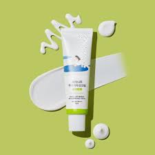 Round Lab Birch Moisturizing Mild-Up Sunscreen SPF50+ PA++++ 50ml | Hydrating Korean Sunscreen