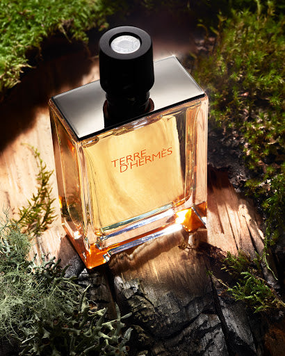 Terre d’Hermes Hermès 100ML EDT